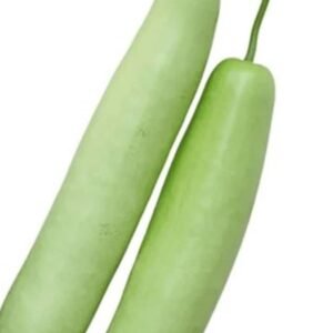 Bottle Gourd / Lau