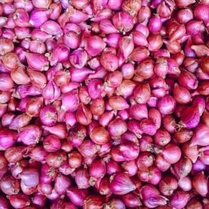 Red Shallots