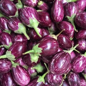Indian Eggplant / Brinjal
