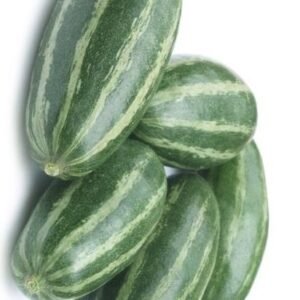 Pointed Gourd / Potol
