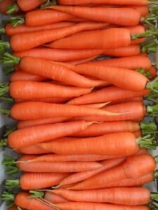 Fresh Vegetables