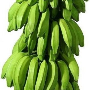 Green Banana