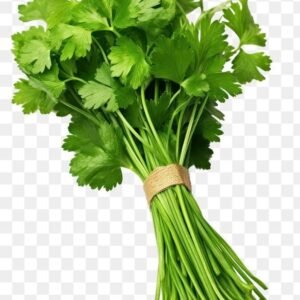 Fresh Coriander